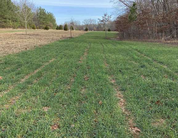 68.7 Acres of Recreational Land for Sale in Whiteville, Tennessee