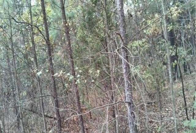 1 Acre of Residential Land for Sale in Broken Bow, Oklahoma
