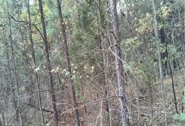 1 Acre of Residential Land for Sale in Broken Bow, Oklahoma