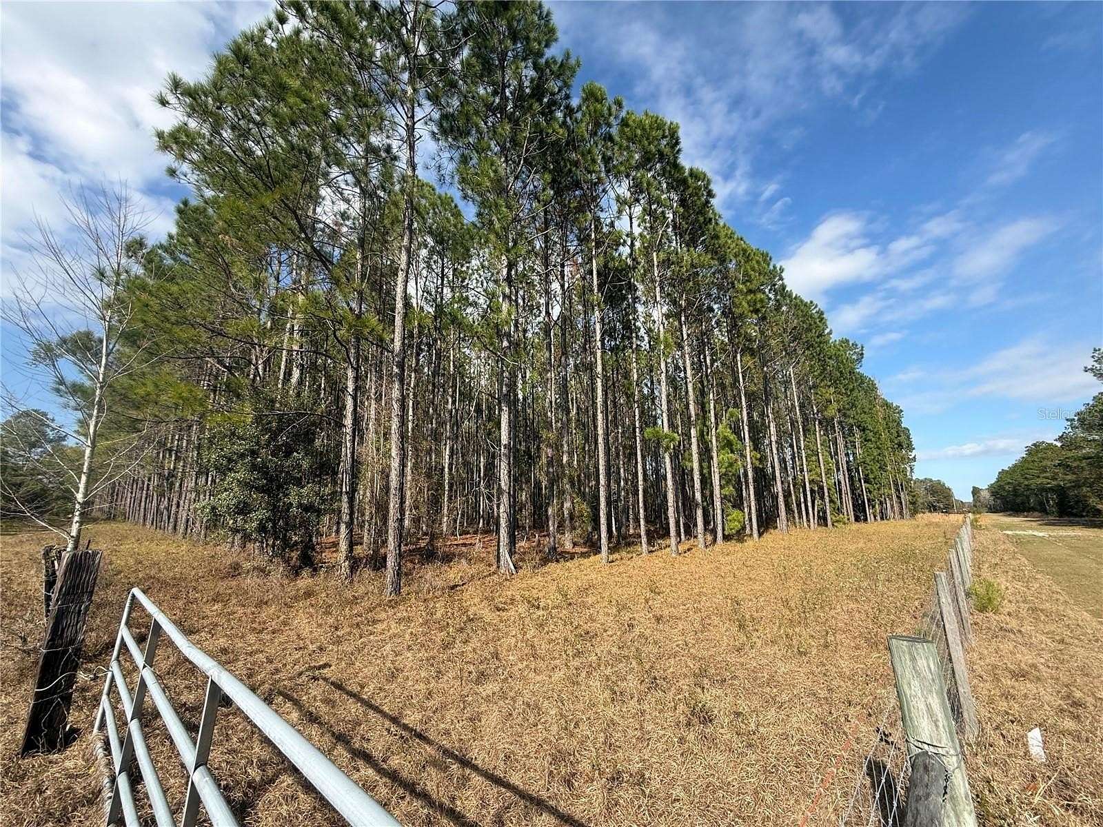 9.82 Acres of Residential Land for Sale in Lake Butler, Florida