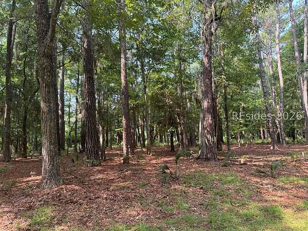 Residential Land for Sale in Daufuskie Island, South Carolina