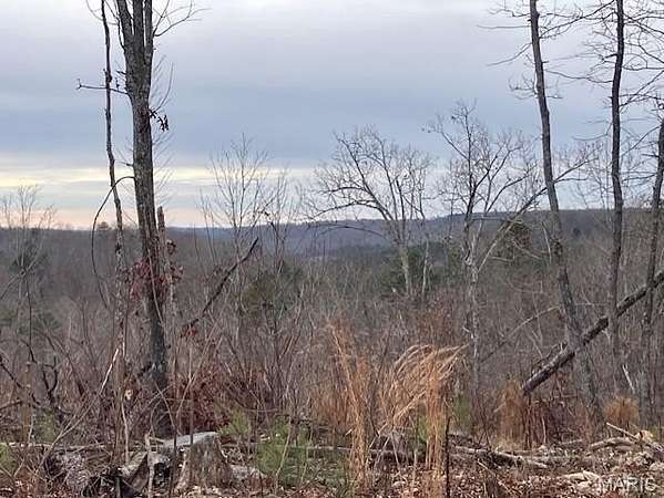 24 Acres of Recreational Land for Sale in Fredericktown, Missouri