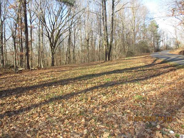 37 Acres of Land for Sale in Kirksey, Kentucky