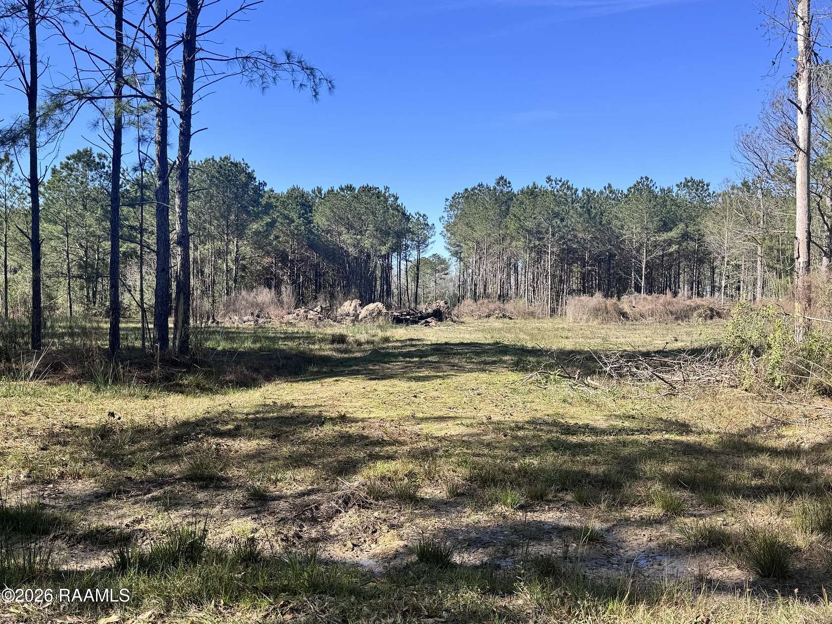5 Acres of Residential Land for Sale in Iota, Louisiana