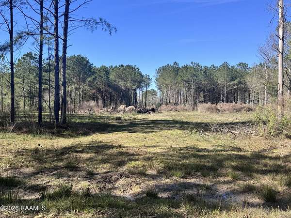 5 Acres of Residential Land for Sale in Iota, Louisiana