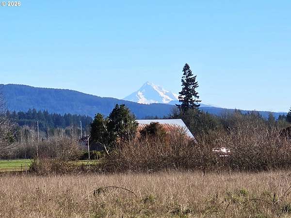 40 Acres of Agricultural Land for Sale in Hockinson, Washington