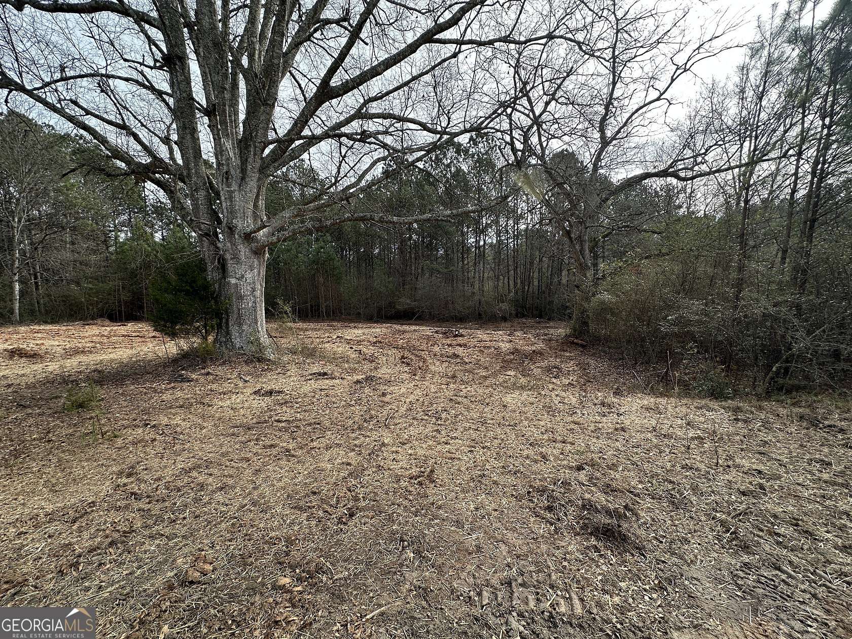 5 Acres of Residential Land for Sale in Franklin, Georgia
