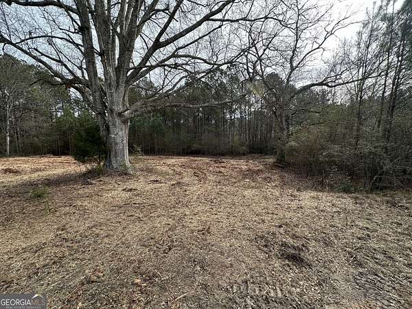 5 Acres of Residential Land for Sale in Franklin, Georgia