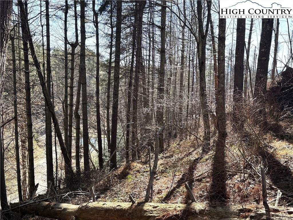 1.39 Acres of Residential Land for Sale in Piney Creek, North Carolina