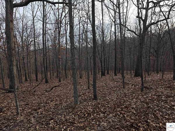 2.7 Acres of Residential Land for Sale in Edwards, Missouri