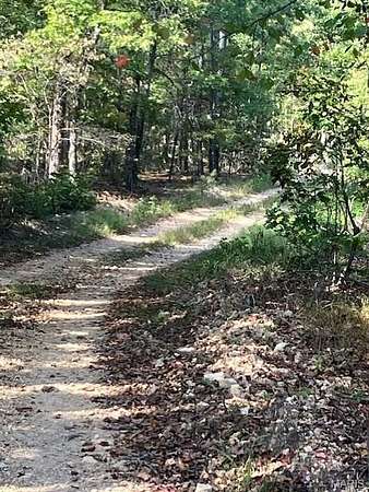 21.5 Acres of Recreational Land for Sale in Fredericktown, Missouri