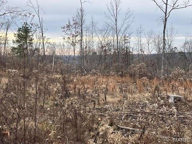 25.7 Acres of Recreational Land for Sale in Fredericktown, Missouri