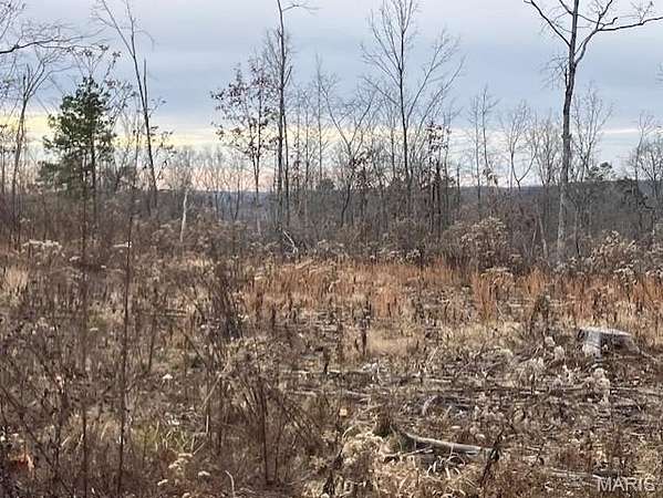 25.7 Acres of Recreational Land for Sale in Fredericktown, Missouri