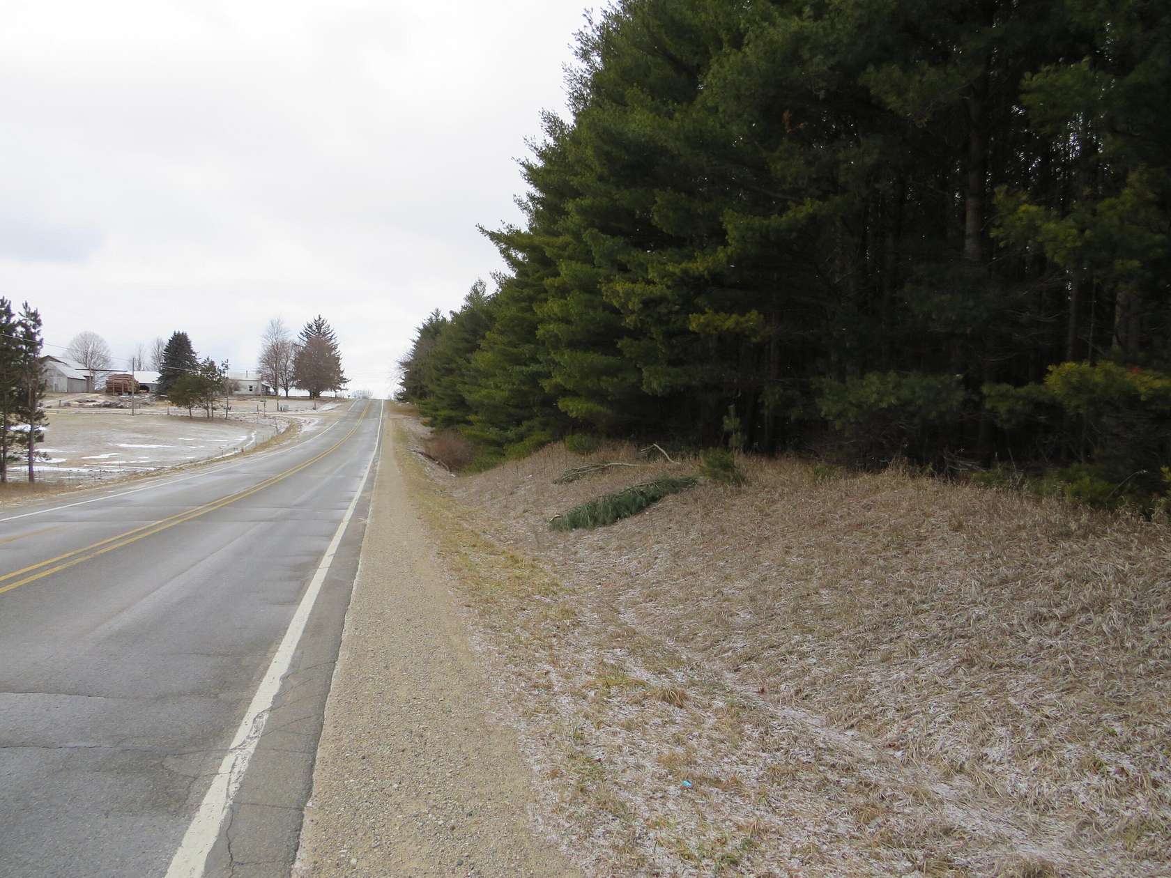 10 Acres of Recreational Land for Sale in Morley, Michigan