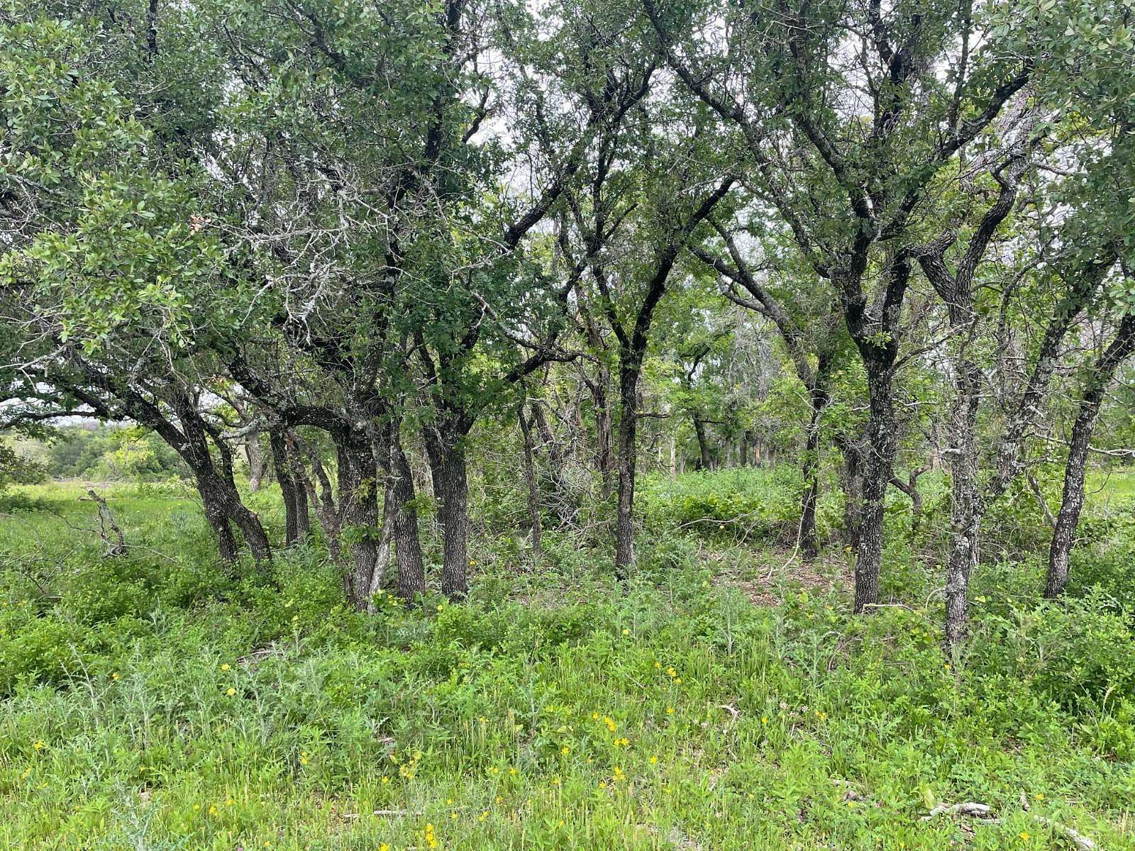 10.8 Acres of Land for Sale in Hamilton, Texas