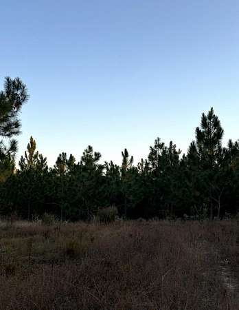 12.1 Acres of Land for Sale in Aiken, South Carolina