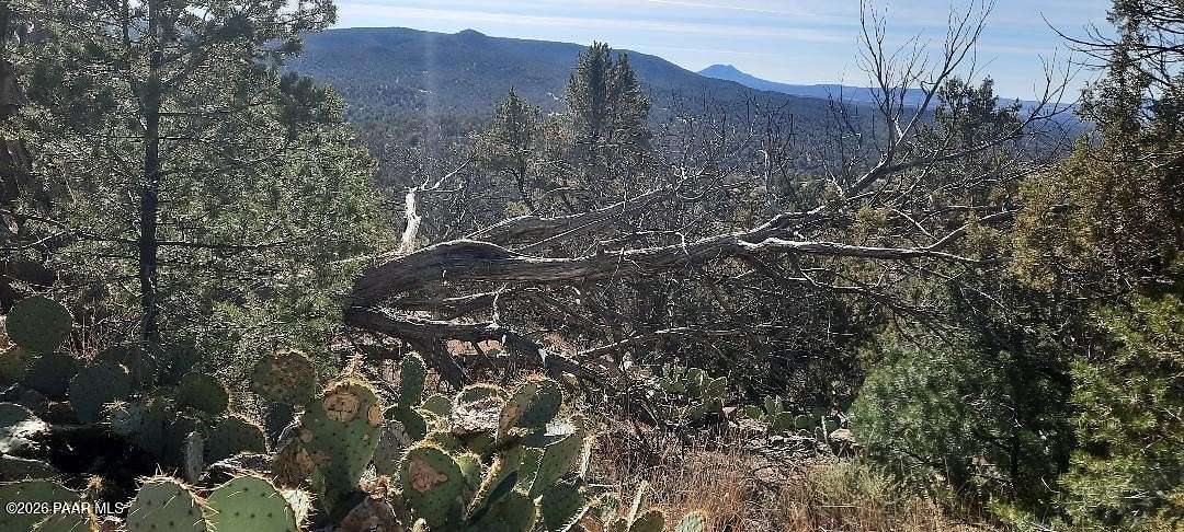 8.9 Acres of Land for Sale in Seligman, Arizona