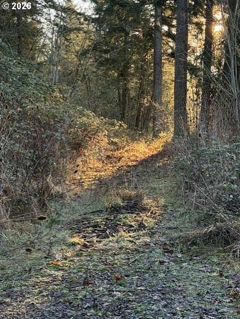 2 Acres of Residential Land for Sale in Woodland, Washington