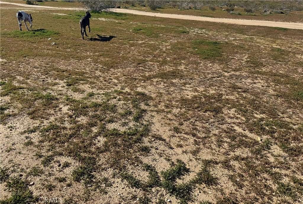 10 Acres of Land for Sale in Hinkley, California