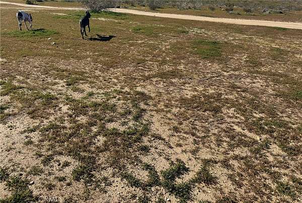 10 Acres of Land for Sale in Hinkley, California