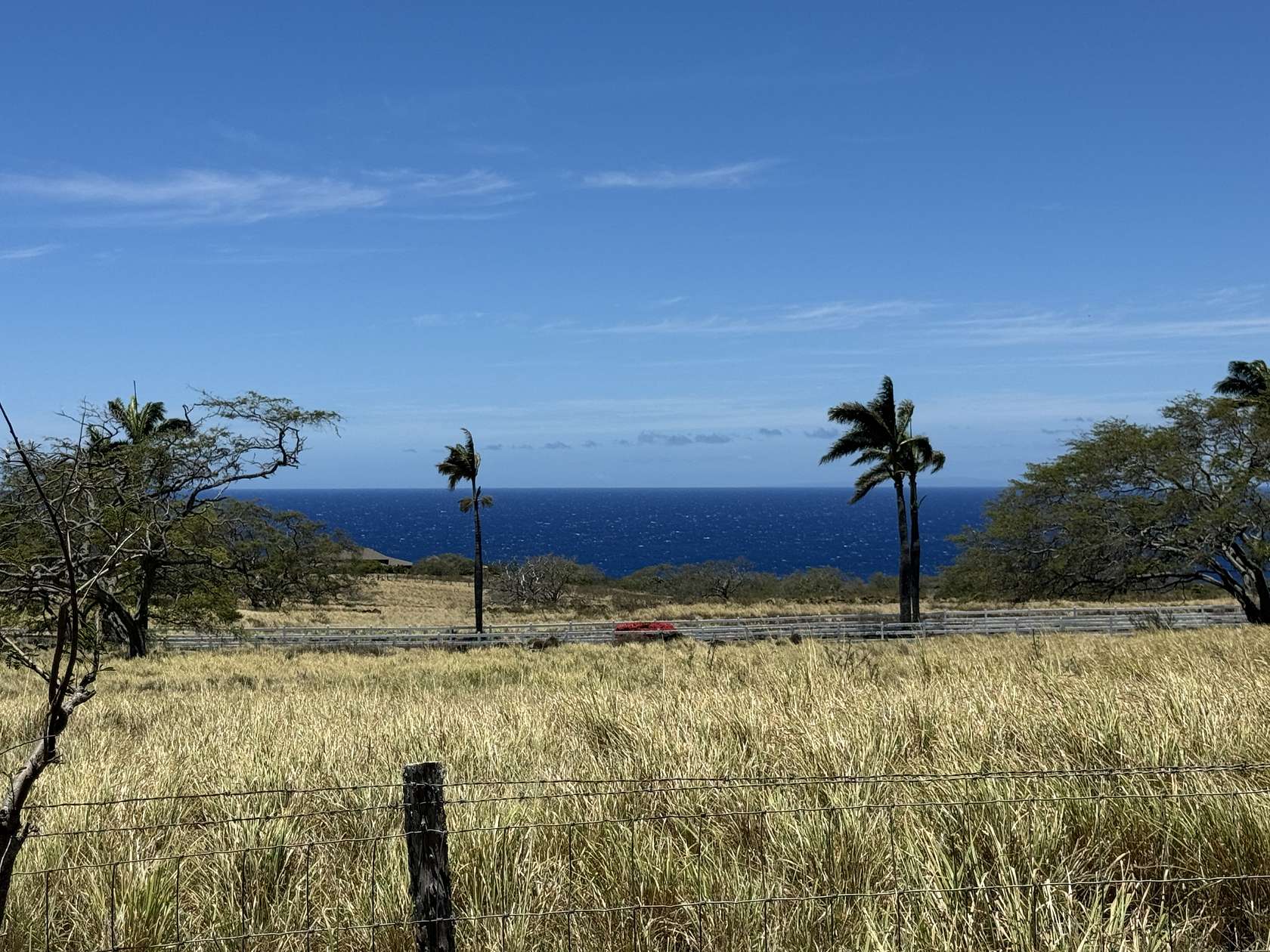 10 Acres of Agricultural Land for Sale in Hawi, Hawaii