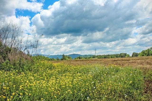 0.5 Acres of Commercial Land for Sale in Murphy, North Carolina