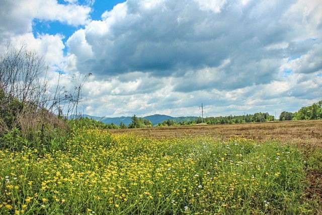 0.5 Acres of Residential Land for Sale in Murphy, North Carolina
