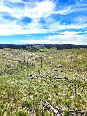 20 Acres of Recreational Land & Farm for Sale in Columbus, Montana