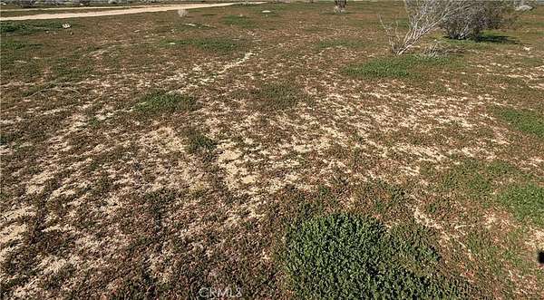 10 Acres of Land for Sale in Hinkley, California