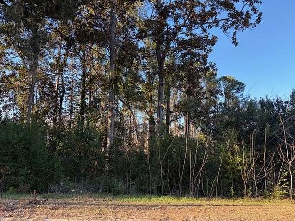 0.51 Acres of Residential Land for Sale in Valdosta, Georgia