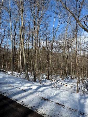 19.7 Acres of Land for Sale in Newfield, New York