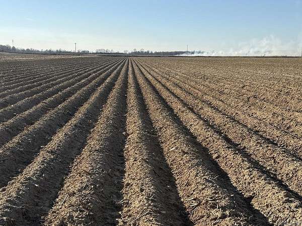 151 Acres of Agricultural Land for Sale in Corning, Arkansas