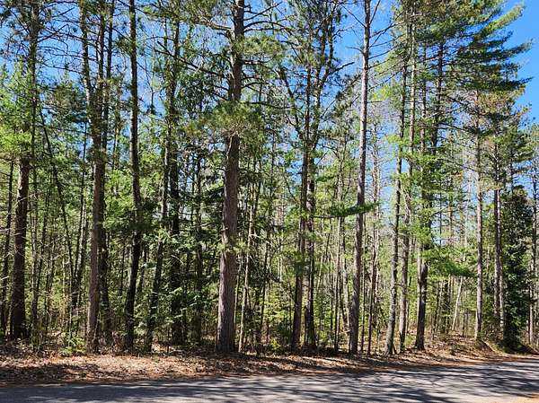 8 Acres of Residential Land for Sale in Lac du Flambeau, Wisconsin