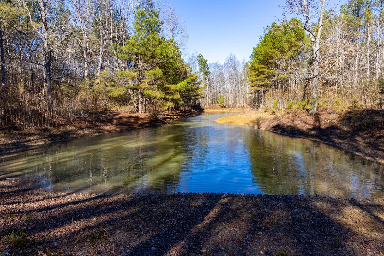 54 Acres of Recreational Land for Sale in Haleyville, Alabama