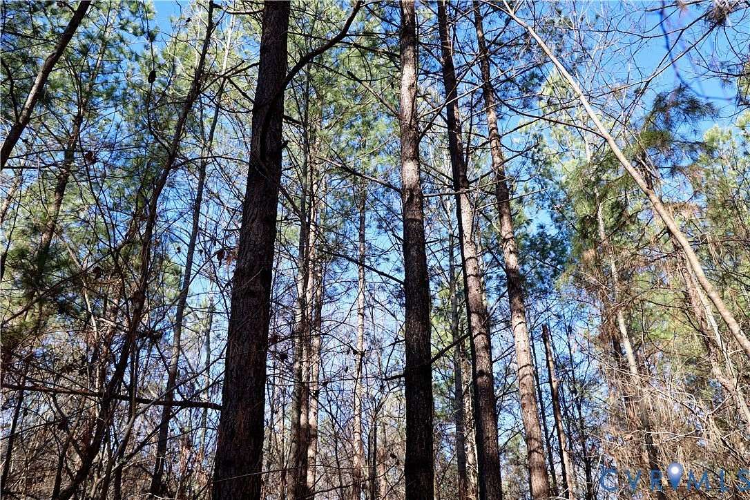 18.3 Acres of Recreational & Residential Land for Sale in Buffalo Junction, Virginia