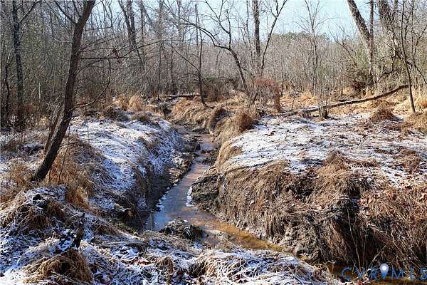 18.3 Acres of Recreational Land for Sale in Buffalo Junction, Virginia