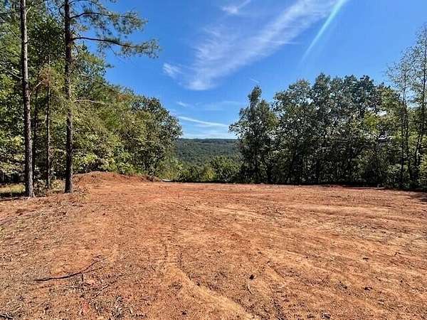 1.7 Acres of Residential Land with Home for Sale in Haletown, Tennessee