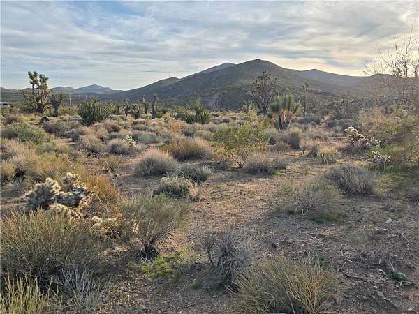 1.1 Acres of Residential Land for Sale in White Hills, Arizona