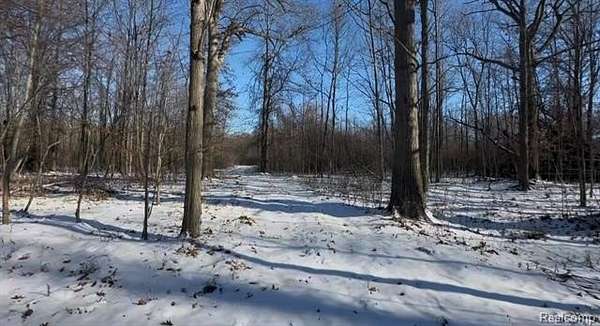 35.3 Acres of Recreational & Residential Land for Sale in Ira Township, Michigan