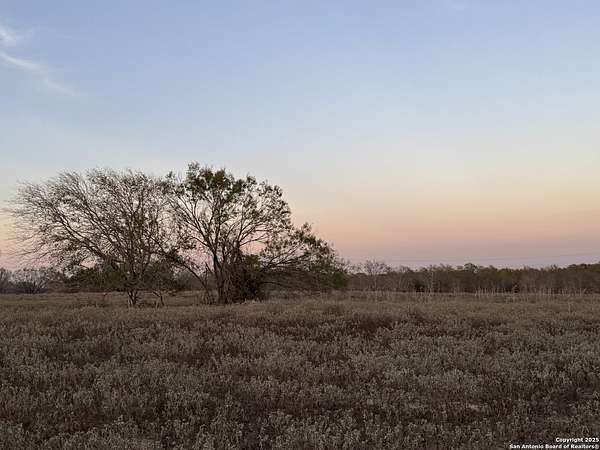15 Acres of Land for Sale in Stockdale, Texas