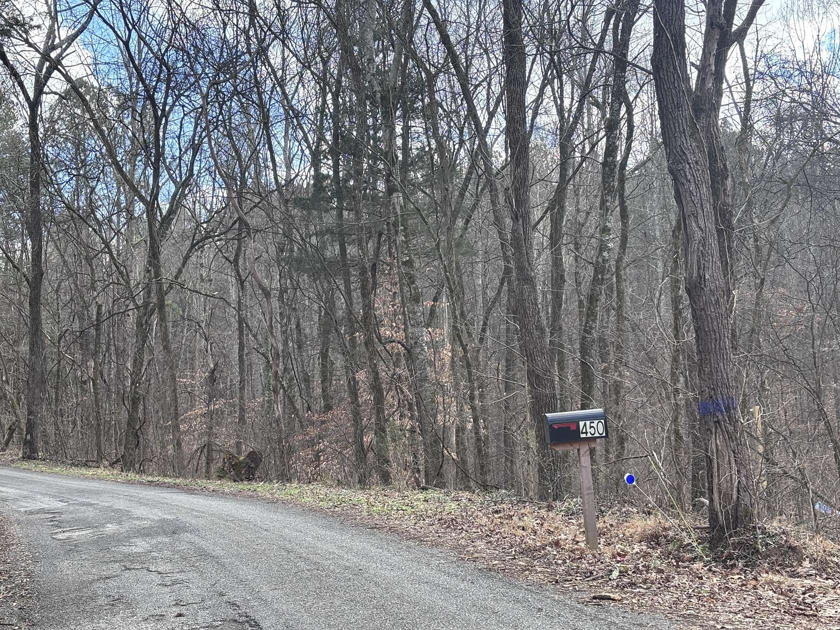 5.1 Acres of Residential Land for Sale in Decatur, Tennessee