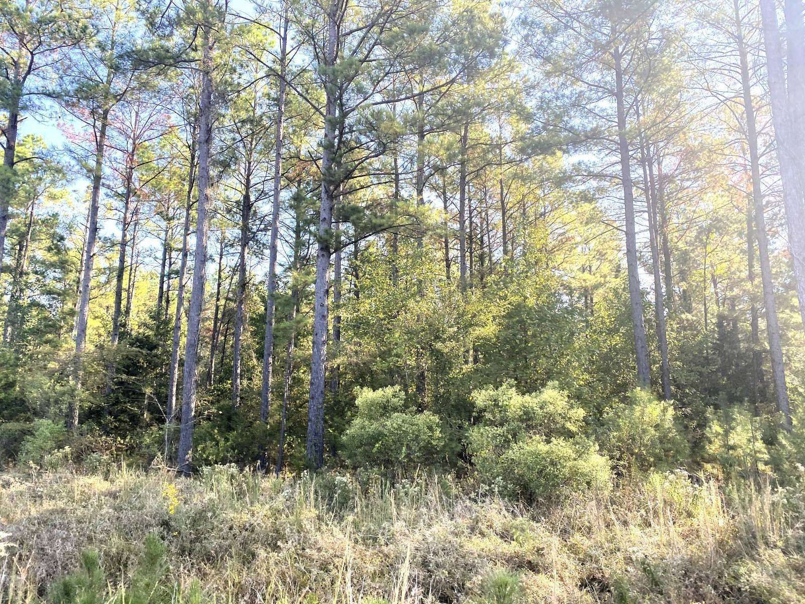 15 Acres of Land for Sale in Ashdown, Arkansas