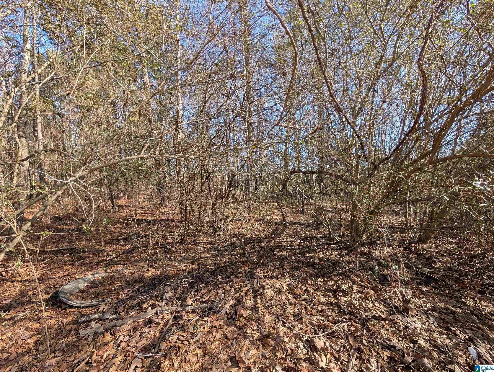 1 Acre of Residential Land for Sale in Oxford, Alabama