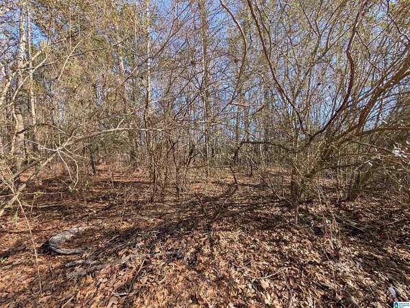 1 Acre of Residential Land for Sale in Oxford, Alabama