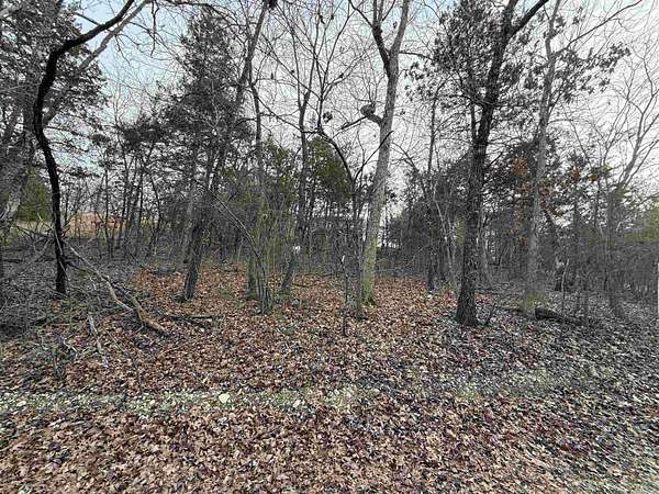 0.21 Acres of Land for Sale in Diamond City, Arkansas