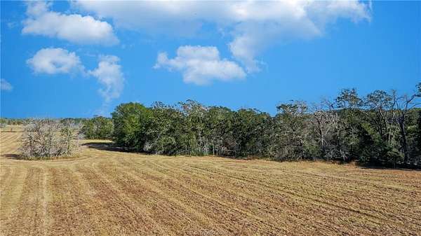 2.89 Acres of Residential Land for Sale in Bedias, Texas