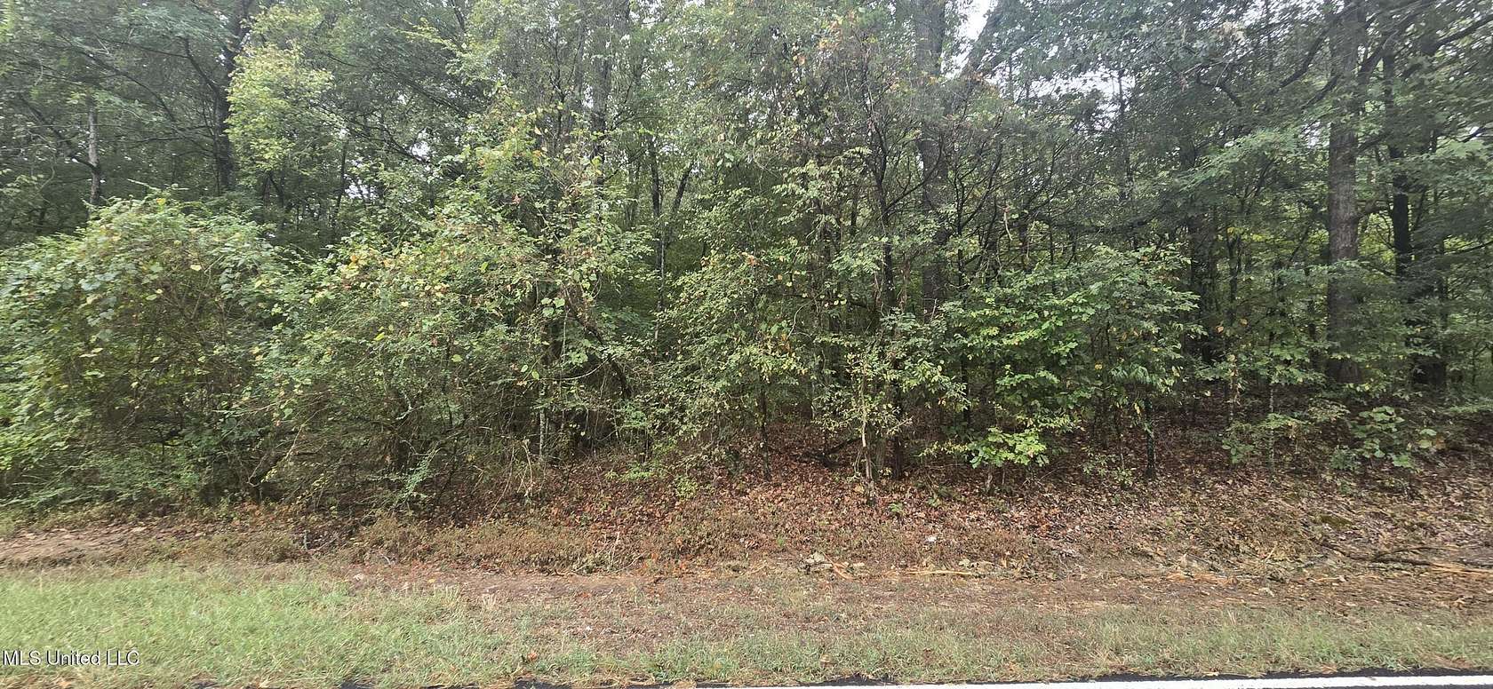 2 Acres of Land for Sale in Olive Branch, Mississippi