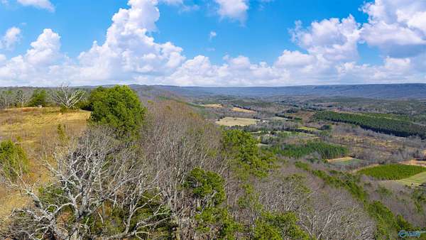 2 Acres of Residential Land for Sale in Henagar, Alabama