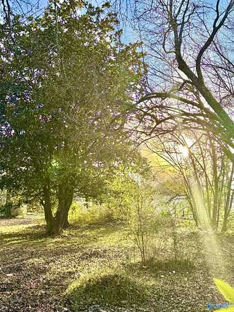 0.42 Acres of Land for Sale in Hartselle, Alabama