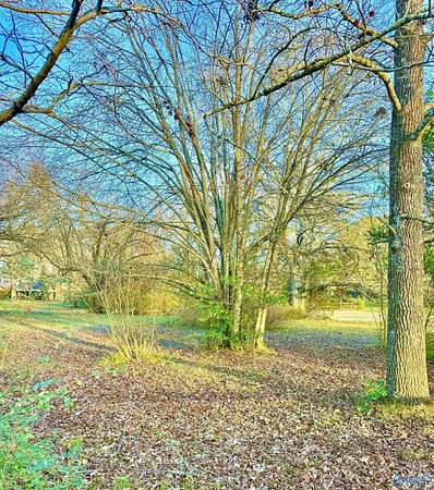 0.39 Acres of Residential Land for Sale in Hartselle, Alabama